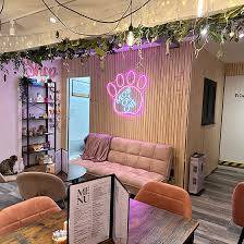 Meowdb87221999